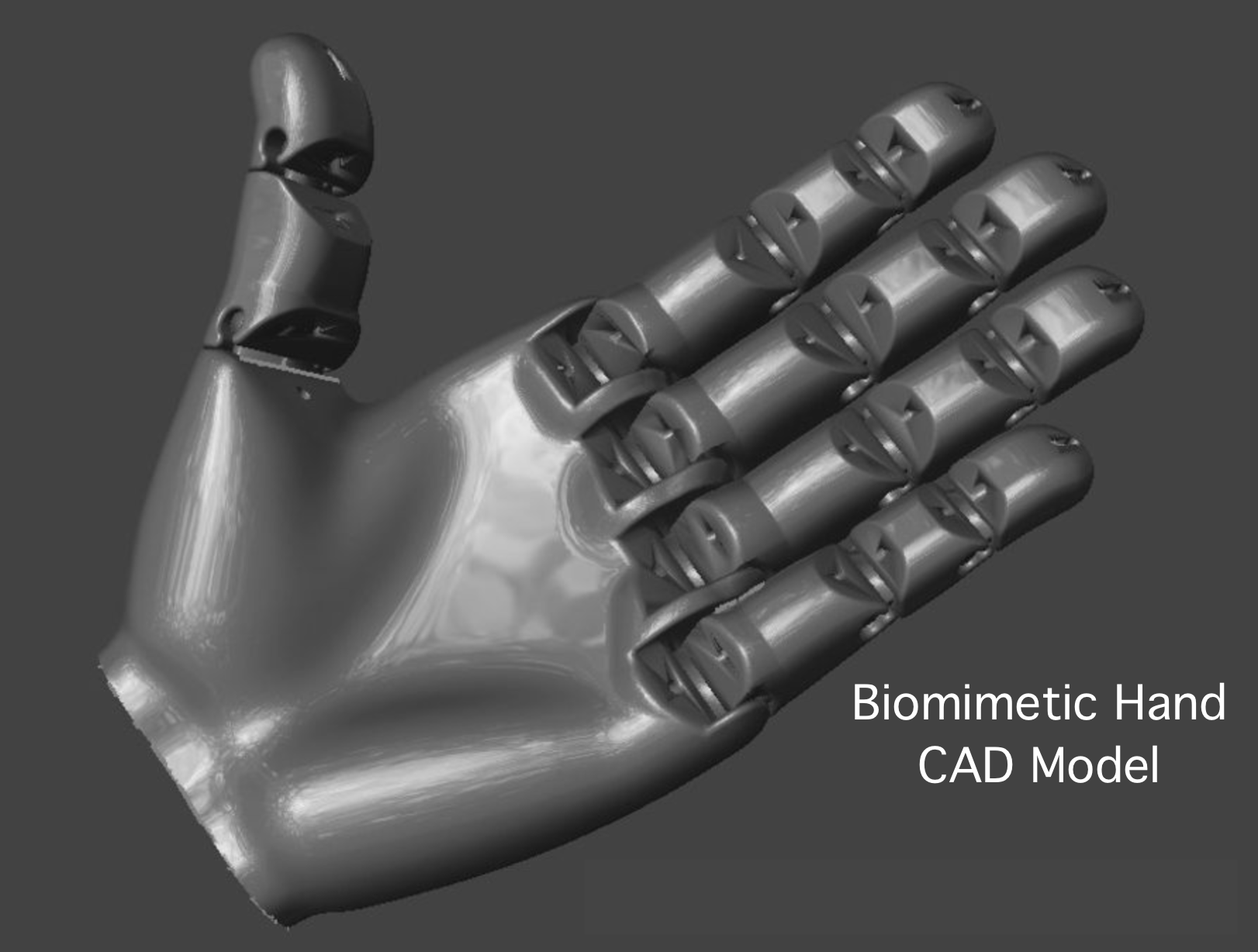 Biomimetic hand prosthesis prototype